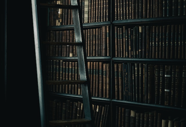 Opleiding & cursussen